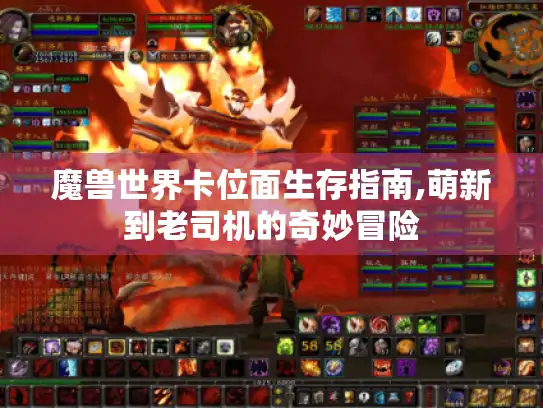魔兽世界卡位面生存指南,萌新到老司机的奇妙冒险