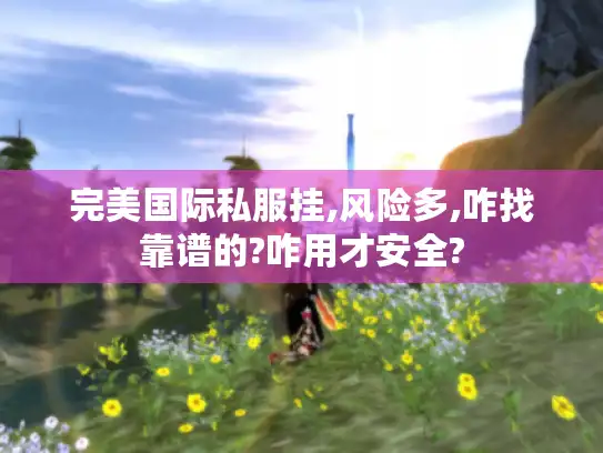 完美国际私服挂,风险多,咋找靠谱的?咋用才安全? 完美国际私服挂,风险多,咋找靠谱的?咋用才安全?