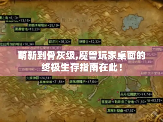 萌新到骨灰级,魔兽玩家桌面的终极生存指南在此！