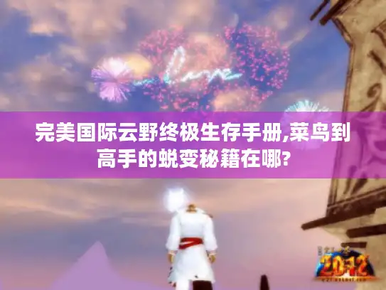 完美国际云野终极生存手册,菜鸟到高手的蜕变秘籍在哪?