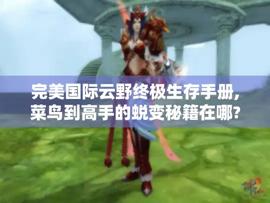 完美国际云野终极生存手册,菜鸟到高手的蜕变秘籍在哪?