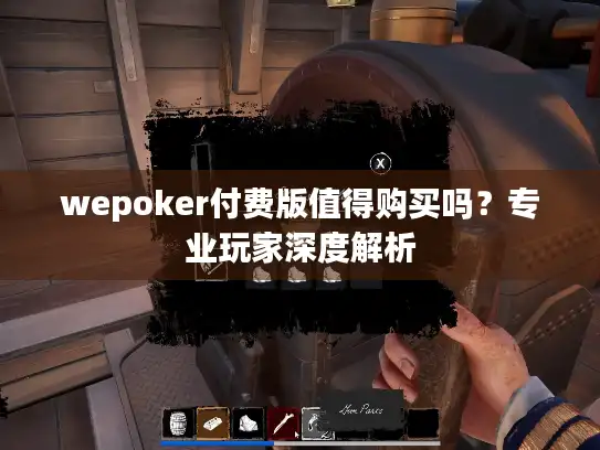 wepoker付费版值得购买吗？专业玩家深度解析