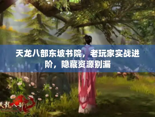 天龙八部东坡书院，老玩家实战进阶，隐藏资源别漏