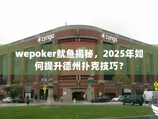 wepoker鱿鱼揭秘，2025年如何提升德州扑克技巧？