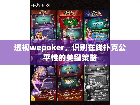 透视wepoker，识别在线扑克公平性的关键策略