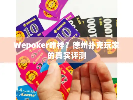 Wepoker咋样？德州扑克玩家的真实评测