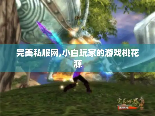 完美私服网,小白玩家的游戏桃花源