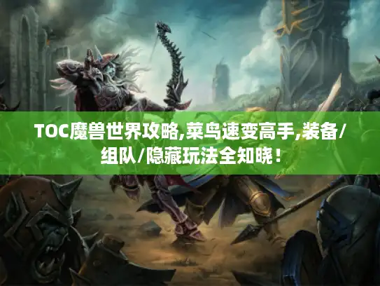 TOC魔兽世界攻略,菜鸟速变高手,装备/组队/隐藏玩法全知晓！