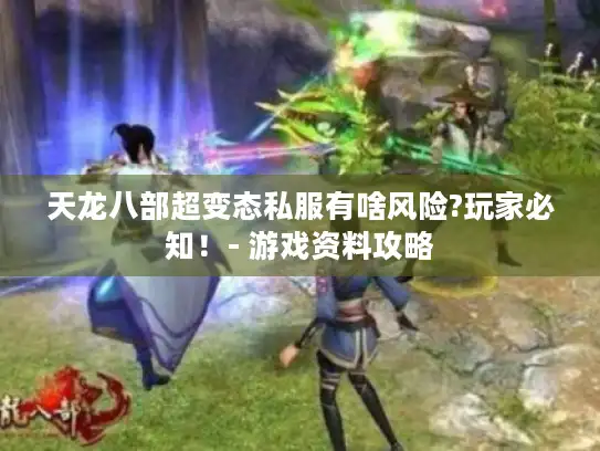 天龙八部超变态私服有啥风险?玩家必知！- 游戏资料攻略