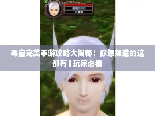 寻宝完美手游攻略大揭秘！你想知道的这都有 | 玩家必看