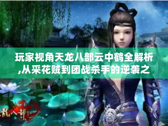 玩家视角天龙八部云中鹤全解析,从采花贼到团战杀手的逆袭之路