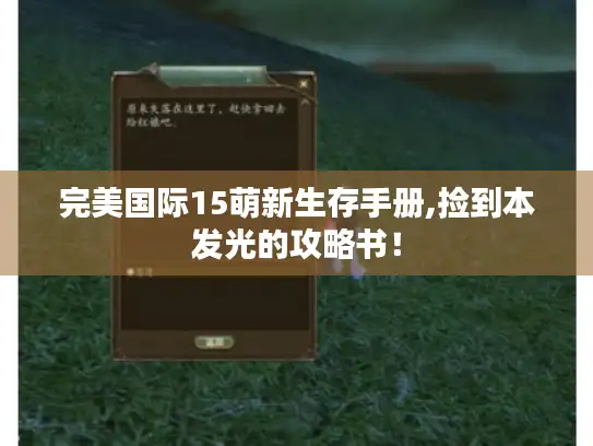 完美国际15萌新生存手册,捡到本发光的攻略书! 完美国际15萌新生存手册,捡到本发光的攻略书!