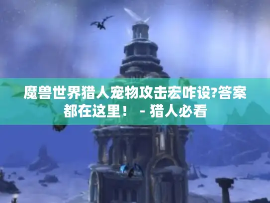 魔兽世界猎人宠物攻击宏咋设?答案都在这里! - 猎人必看 魔兽世界猎人宠物攻击宏咋设?答案都在这里! - 猎人必看