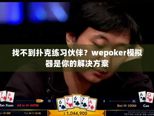 找不到扑克练习伙伴？wepoker模拟器是你的解决方案