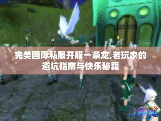 完美国际私服开服一条龙,老玩家的避坑指南与快乐秘籍