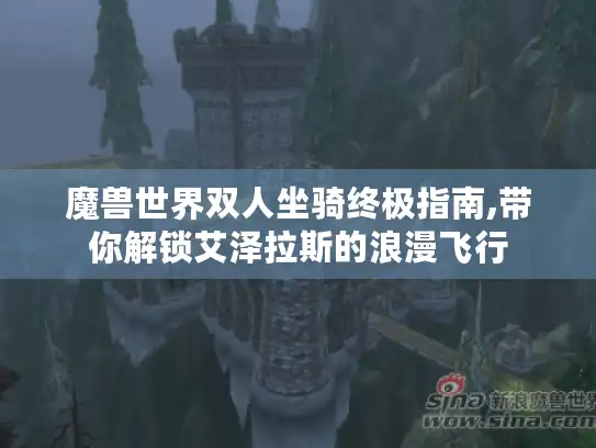 魔兽世界双人坐骑终极指南,带你解锁艾泽拉斯的浪漫飞行