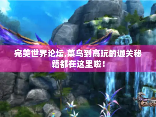 完美世界论坛,菜鸟到高玩的通关秘籍都在这里啦！