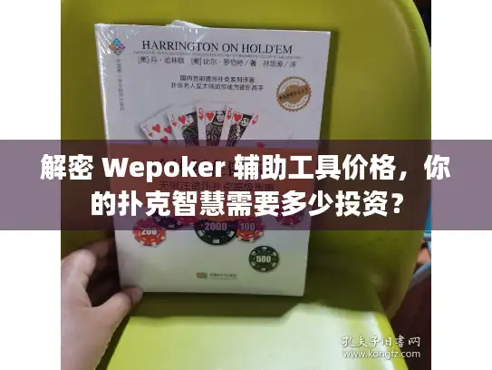 解密 Wepoker 辅助工具价格，你的扑克智慧需要多少投资？