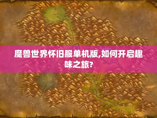 魔兽世界怀旧服单机版,如何开启趣味之旅?