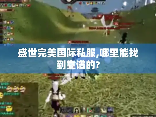 盛世完美国际私服,哪里能找到靠谱的?