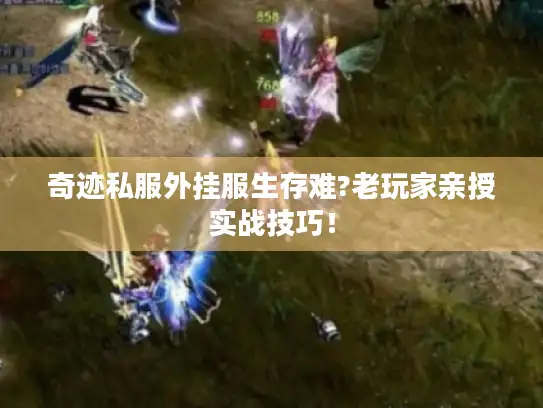 奇迹私服外挂服生存难?老玩家亲授实战技巧！