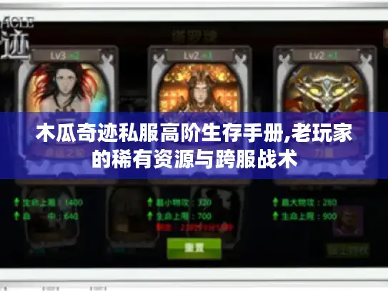 木瓜奇迹私服高阶生存手册,老玩家的稀有资源与跨服战术