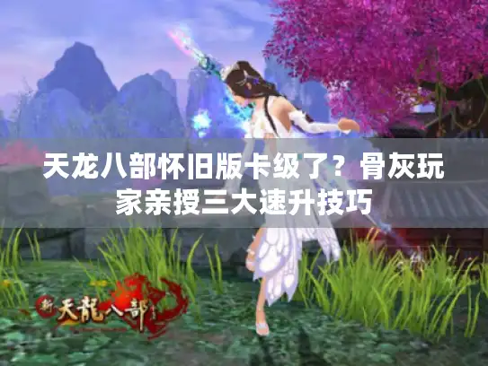 天龙八部怀旧版卡级了？骨灰玩家亲授三大速升技巧