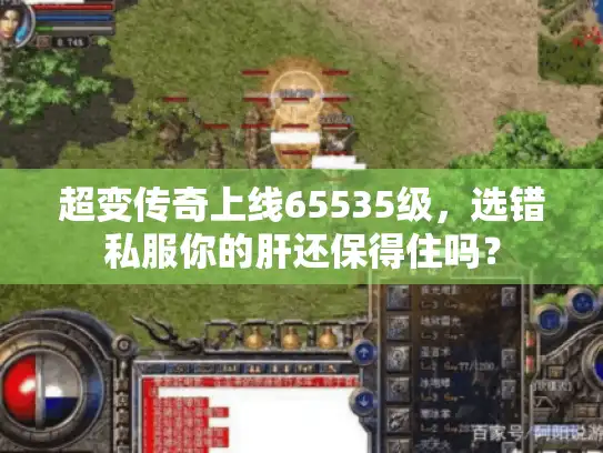 超变传奇上线65535级,选错私服你的肝还保得住吗? 超变传奇上线65535级,选错私服你的肝还保得住吗?