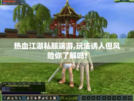 热血江湖私服端游,玩法诱人但风险你了解吗?