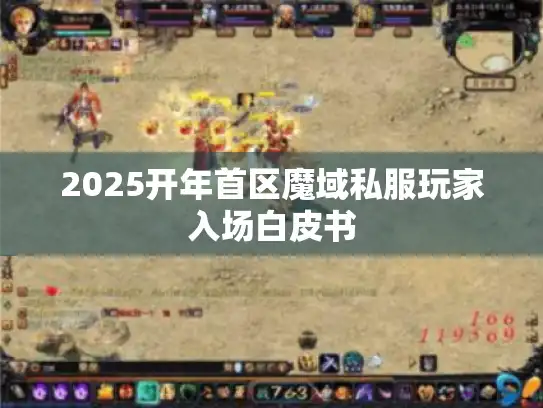 2025开年首区魔域私服玩家入场白皮书
