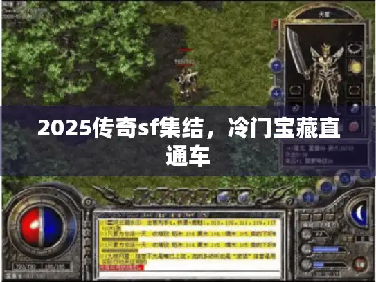 2025传奇sf集结，冷门宝藏直通车