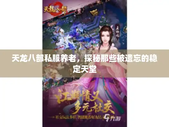 天龙八部私服养老，探秘那些被遗忘的稳定天堂