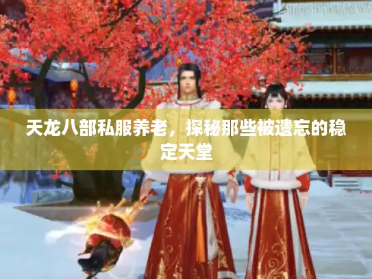 天龙八部私服养老，探秘那些被遗忘的稳定天堂