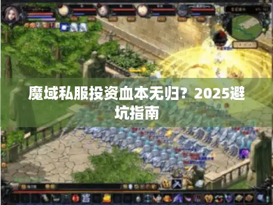 魔域私服投资血本无归？2025避坑指南