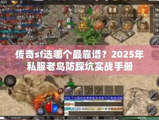 传奇sf选哪个最靠谱？2025年私服老鸟防踩坑实战手册