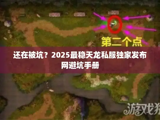 还在被坑？2025最稳天龙私服独家发布网避坑手册
