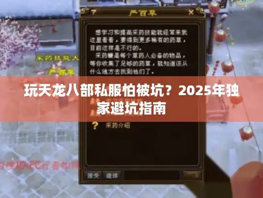 玩天龙八部私服怕被坑？2025年独家避坑指南