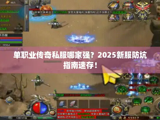 单职业传奇私服哪家强？2025新服防坑指南速存！