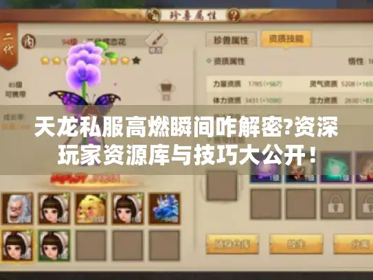 天龙私服高燃瞬间咋解密?资深玩家资源库与技巧大公开! 天龙私服高燃瞬间咋解密?资深玩家资源库与技巧大公开!