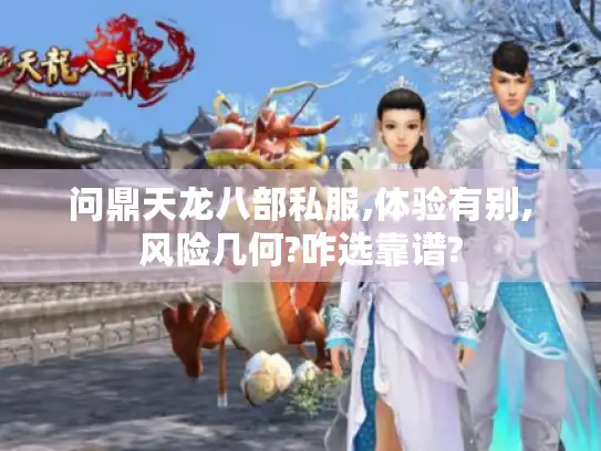 问鼎天龙八部私服,体验有别,风险几何?咋选靠谱?