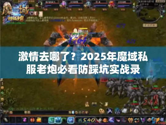 激情去哪了？2025年魔域私服老炮必看防踩坑实战录