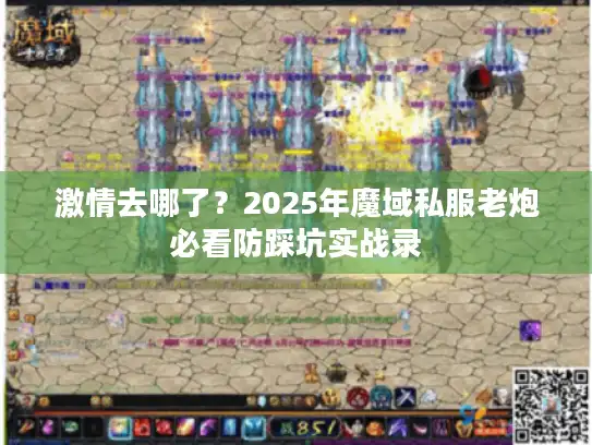 激情去哪了？2025年魔域私服老炮必看防踩坑实战录