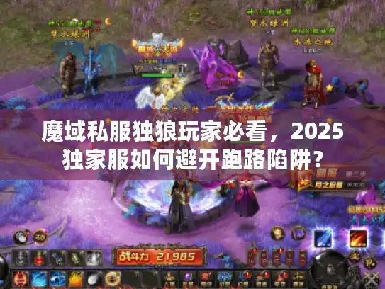 魔域私服独狼玩家必看，2025独家服如何避开跑路陷阱？