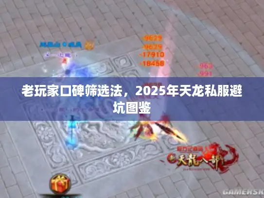 老玩家口碑筛选法，2025年天龙私服避坑图鉴