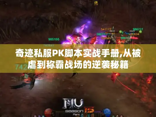 奇迹私服PK脚本实战手册,从被虐到称霸战场的逆袭秘籍