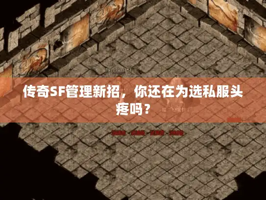传奇SF管理新招，你还在为选私服头疼吗？