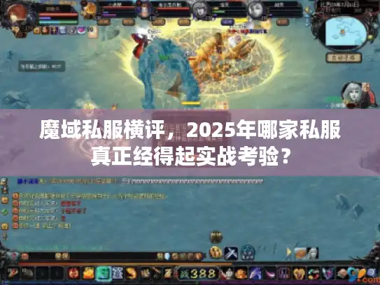 魔域私服横评，2025年哪家私服真正经得起实战考验？