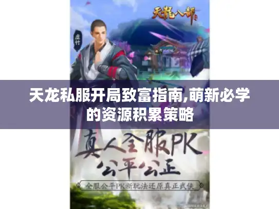 天龙私服开局致富指南,萌新必学的资源积累策略
