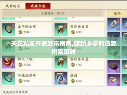 天龙私服开局致富指南,萌新必学的资源积累策略