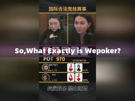 So,What Exactly is Wepoker?